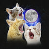 Three Cat Moon